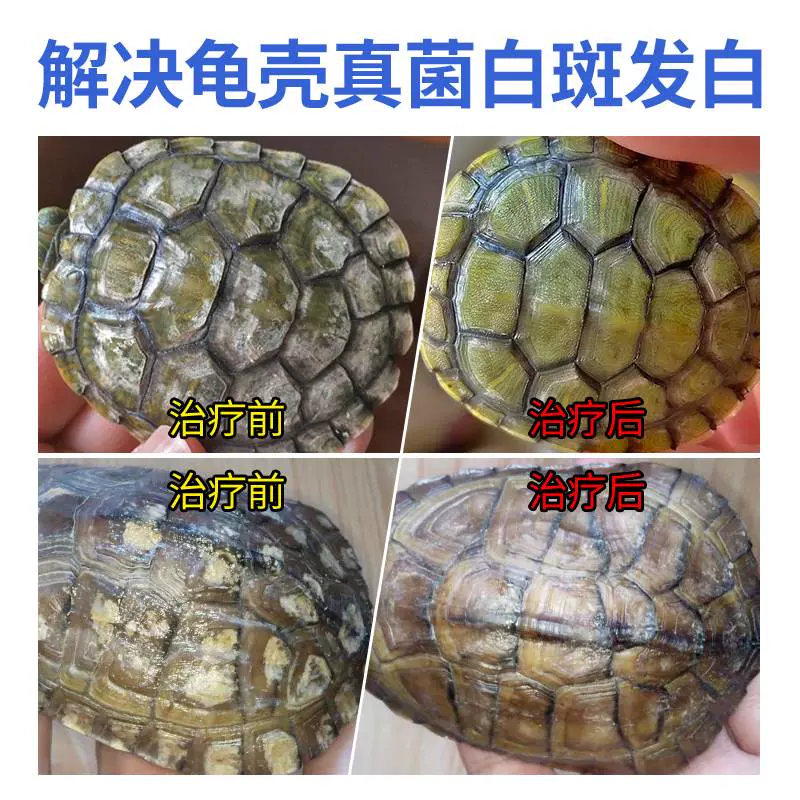 龟药巴西龟壳发白 白点白斑去除乌龟腹背龟甲白色真菌膏腐皮烂甲
