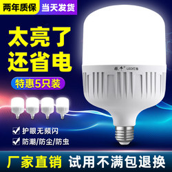 Zheniu Led Light Bulb, Energy-Saving, Ultra-Bright, E27 Screw Base, White Light, High-Power Workshop Lighting