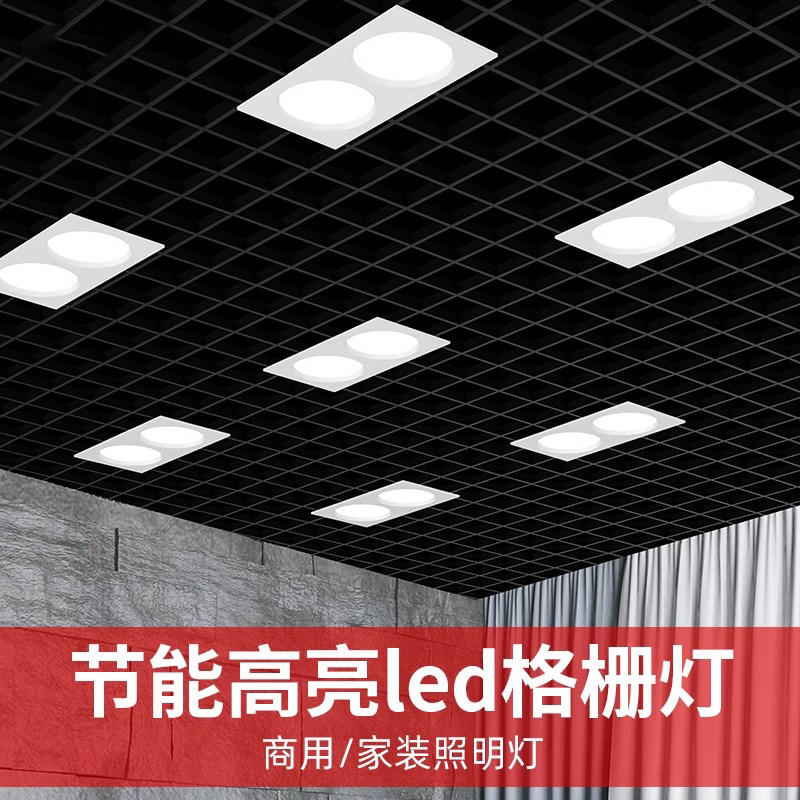 싱글 헤드 더블 헤드 통 더블 홀 임베디드 그리드 직사각형 단순 램프 거실 복도 입구 천장 LED 스포트라이트 -