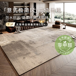 Italian Minimalist Style Carpet for Living Room, Light Luxury and High-End Feel, 2025 New Model, Sofa, Bedroom, Bedside Rug, Thickened and Easy to Care for
