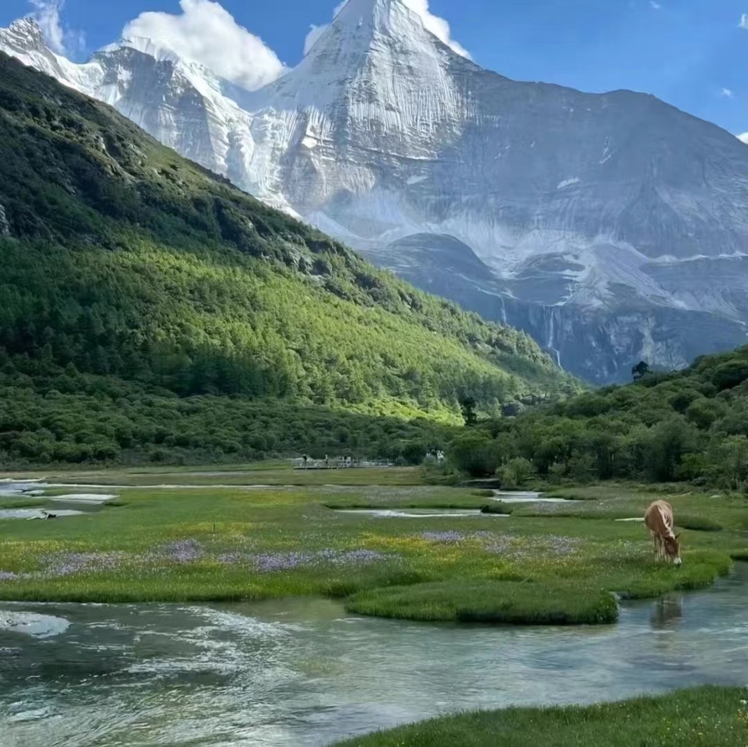 甘孜旅游稻城亚丁5天4晚理塘鱼子西墨石/四姑娘山2-8人团拼车小团