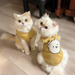 Cat Clothes Spring and Summer Thin Style Anti-Shedding Breathable Striped Cartoon Cute Vest Ragdoll Cat Kitten Pet Clothing
