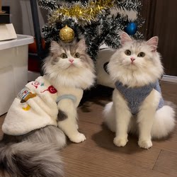 Pet Cat Clothes Autumn and Winter Fleece-Lined Warm Vest Golden Gradient Ragdoll Blue Cat British Shorthair Kitten Anti-Shedding Vest