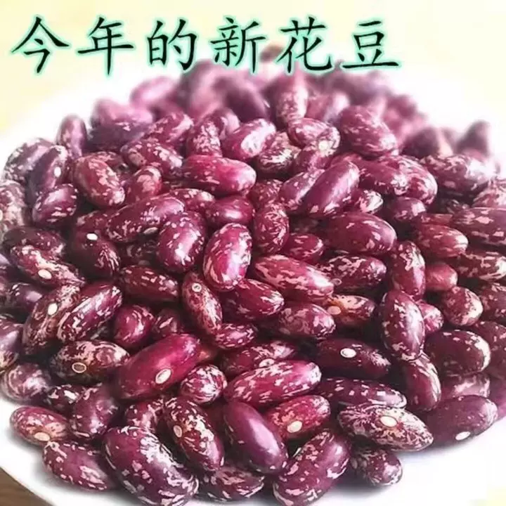 紫红花芸豆5斤云南芸豆大豆新鲜杂粮食用红豆花豆四季 紫红花芸豆5斤云南芸豆大豆新鲜杂粮食用红豆花豆四季