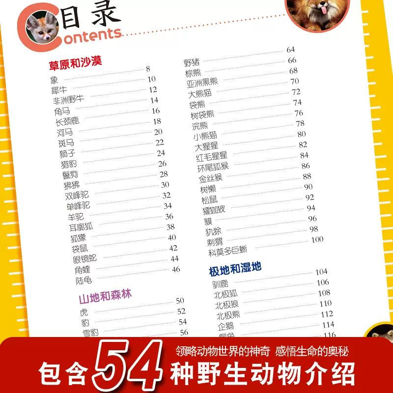 彩图注音版科普读物 小眼睛看世界儿童科学启蒙认知百科全书