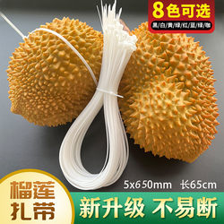 Durian Binding Ties, Extended Nylon Ties, Plastic Durian Binding Alternatives to Rubber Bands, Cable Ties, 5*650