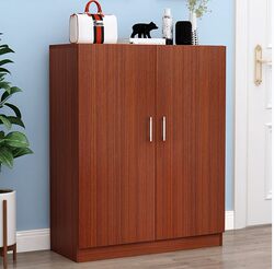 Modern Minimalist Shoe Cabinet, Household Entrance Cabinet, Shoe Rack, Economical Indoor Storage Cabinet, Dust-Proof Dormitory Cabinet, Assembled