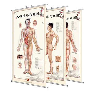 针灸解剖图- Top 500件针灸解剖图- 2024年6月更新- Taobao