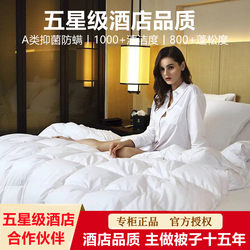 Five-Star Hotel Duvet Winter Quilt Student Dormitory Single/Double Spring and Autumn Quilt Thickened Warm Quilt Core 5kg