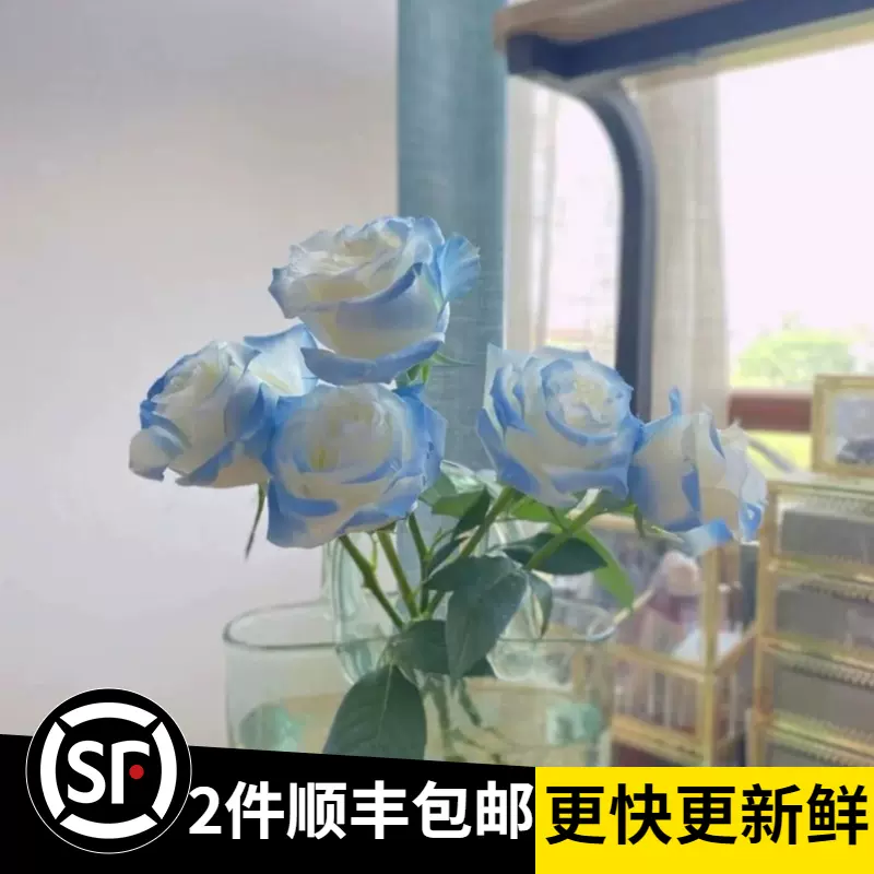 鮮花碎冰藍白玫瑰花束滿天星桔梗昆明鬥南基地直