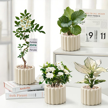 
Creamy style desktop green plants and small potted plants versatile series
