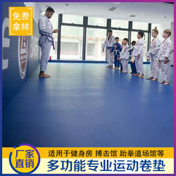 Sanda Fighting Roll Mat, Martial Arts Fighting Gymnastics Training Sports Roll Mat, Cheerleading, Taekwondo Professional Non-Slip Floor Mat