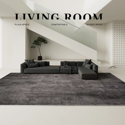 Gray Carpet for Living Room, Light Luxury, High-End, Washable and Wipeable, Home Sofa Floor Mat, 2025 New Model, Black, Winter