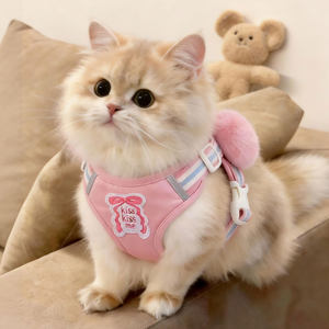 
Cat chest and back traction rope, vest type, adjustable anti-breakaway bow cat leash, outdoor pet and dog travel supplies