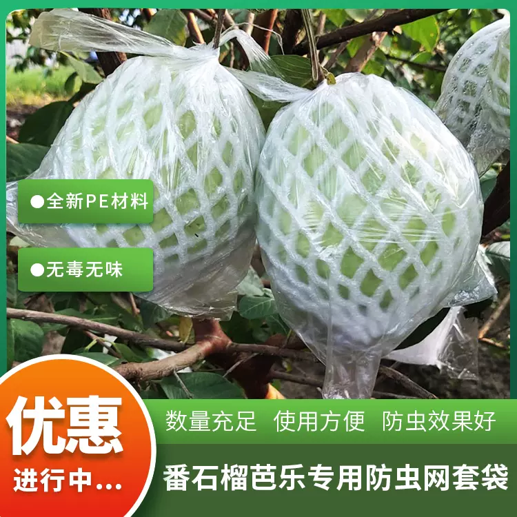 芭乐番石榴种植网套袋水果网套一体套袋有耳型防虫防鸟大包更实惠-Taobao