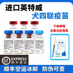 Intervector Quadruple Vaccine for Dogs Canine Distemper