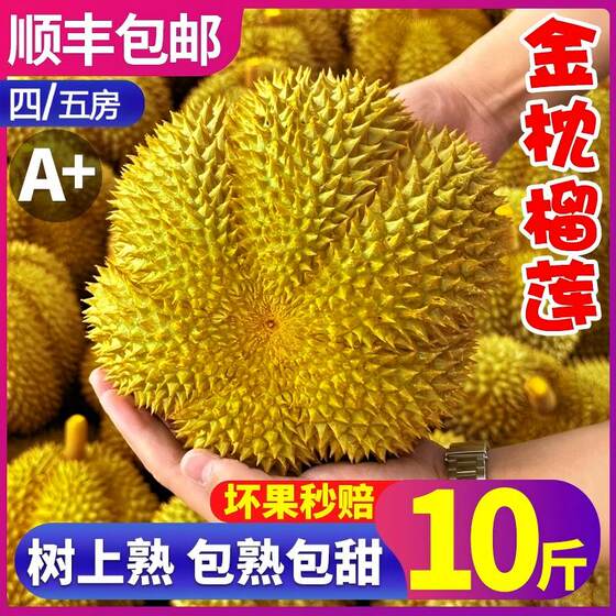 
Thailand imports Golden Pillow Durian to repay the favor with fresh fruit, optional 10*0.5kg, a whole tree ripe palm meat, free shipping with SF Express