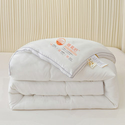 Feather Velvet Quilt Quilt Core Winter Quilt Warm Double Spring & Fall Quilt Autumn and Winter Thickeneded Student Dormitory Single Quilt