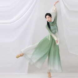 Classical Dance Practice Clothes, Elastic Body-Shaping Gauze Clothes, Art Exam Class Clothes, Fan Dance, Umbrella Dance, Chinese Dance Performance Costume Set