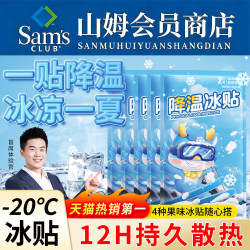 Summer Cooling Magic Ice Patch, Cooling Patch for Students, Military Training, Heat Reduction, Heat Dissipation Patch, Summer Ice Compress to Prevent Heatstroke