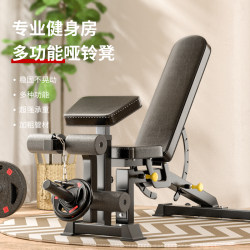 Multifunctional Dumbbell Bench for Home Fitness, Square Tube Professional Commercial Gym Bench Press Bench, Fitness Chair with Adjustable Incline
