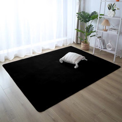 Modern Minimalist Black Short-Pile Carpet for Living Room and Bedroom, Suitable for Clothing Photography, Light-Absorbing, Drum Set Floor Mat