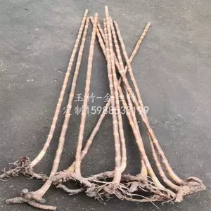 竹根手杖- Top 100件竹根手杖- 2024年4月更新- Taobao