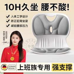 German Lumbar Support Chair, Ergonomic Stool for Long Periods of Sitting, Comfortable Office Backrest Chair, Comfortable Computer Chair Cushion Sn