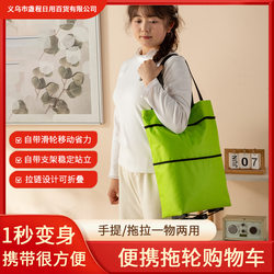 Trendy Folding Portable Grocery Cart with Wheels, Waterproof Shopping Tote Bag, Supermarket Shopping Trolley