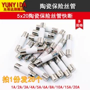 Ống cầu chì gốm 5*20 6*30 250V ngắt nhanh F 1A/2A/3A/4/5/6/8A/10A/15/20A