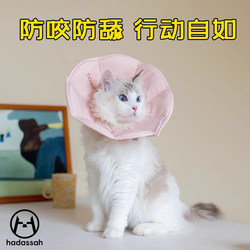 Elizabeth Circle Cat Shame Circle Pet Sterilization Circle