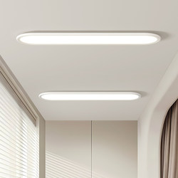 Pasha Aisle Ceiling Light 2025 New Modern Simple Corridor Entrance Light Led Entrance Balcony Smart Light