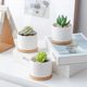 Ceramics Polynut Basin Creative Interior White Pot Modern Home Gardening Cross -border White Porcelain Basin 2024
