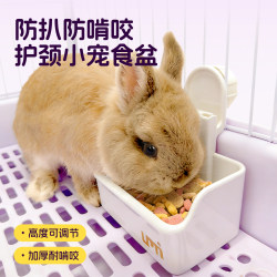 Rabbit Food Bowl, Guinea Pig Food Bowl, Rabbit Food Dish, Dwarf Rabbit Food Trough, Anti-Spill, Anti-Scrape Feeding Bowl, Special Feeder