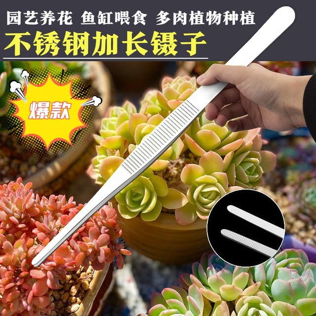 Tweezers, stainless steel gardening, long clips, large tweezers, take up and extend the fish tank, feed turtle, flower, succulent sewer