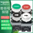 Nút ký hiệu chức năng Schneider XB2BA3351C có mũi tên STOP stop START khởi động thường mở 