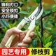 Gardening shears, pruning shears, flower shears, garden scissors, floral shears, branches, fruit tree scissors, branch shears, flower shears.