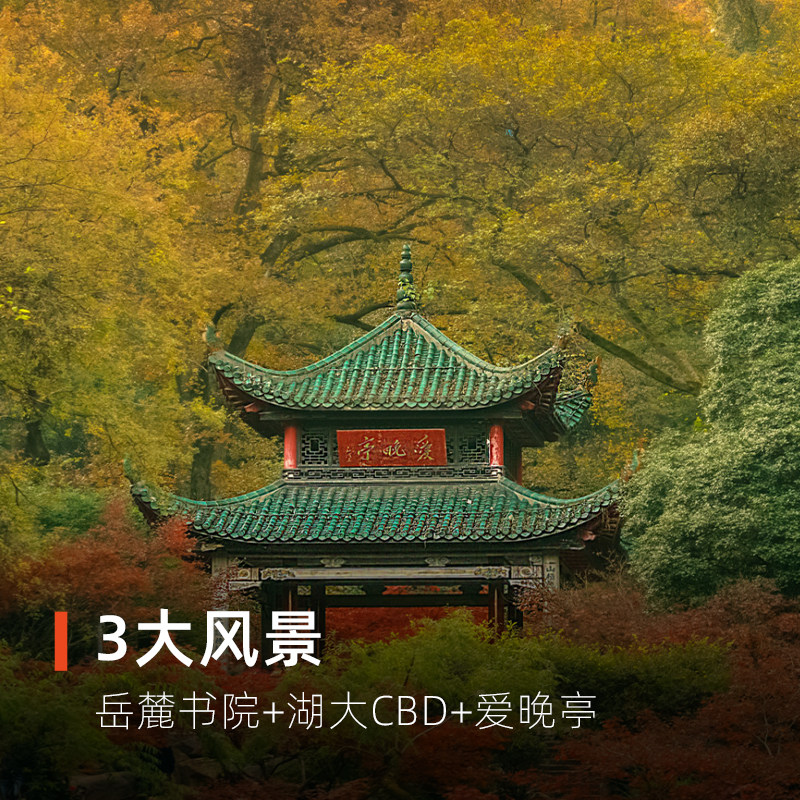 大咖说®湖南长沙岳麓书院爱晚亭一日游 2小时讲解15人团含门票