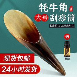 Authentic Ox Horn Gua Sha Board Set for Facial Beauty, Neck, Back, Meridian Acupressure, and Whole Body Use, Large Size