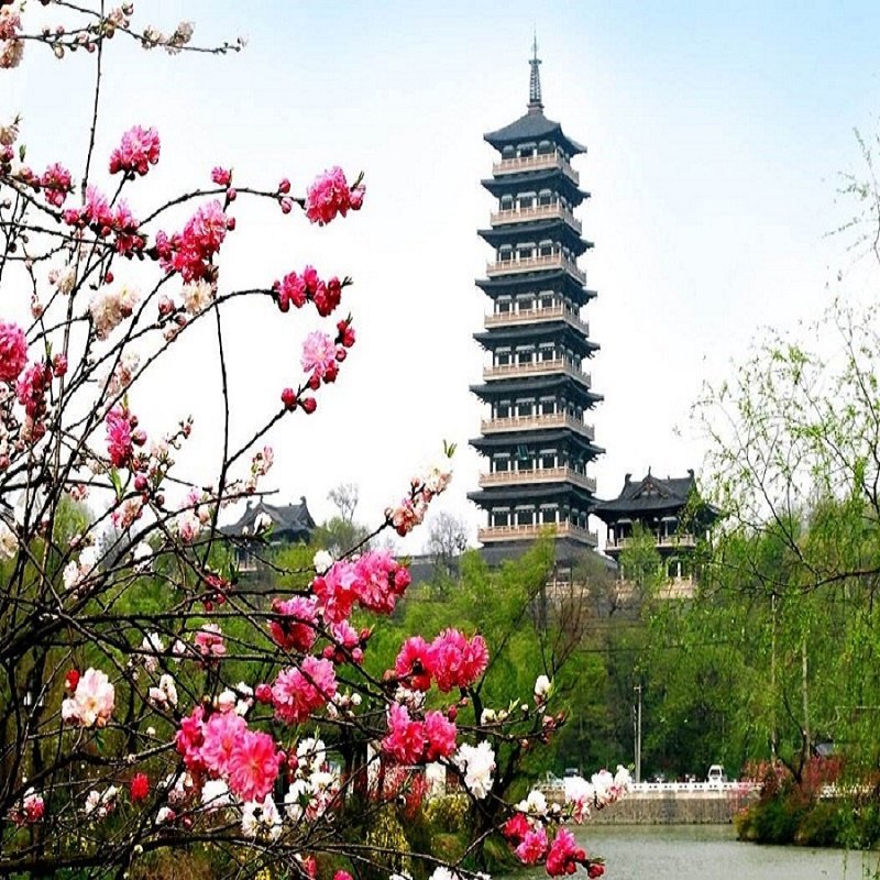 南京出发【无购物】扬州1日跟团游 瘦西湖+大明寺+东关街