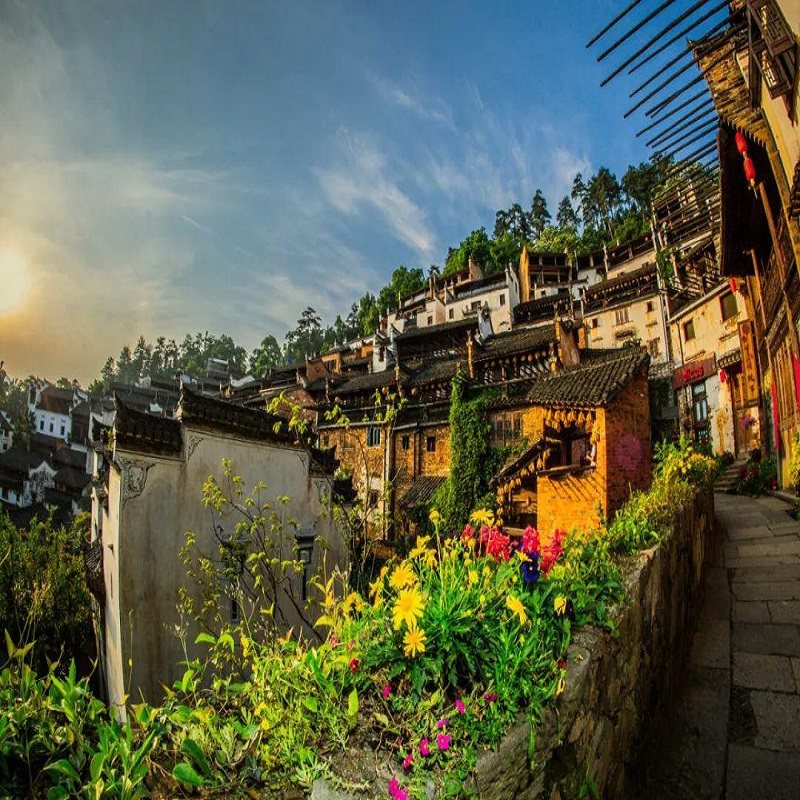 【晒秋】黄山出发(纯玩无购物)婺源篁岭1日游