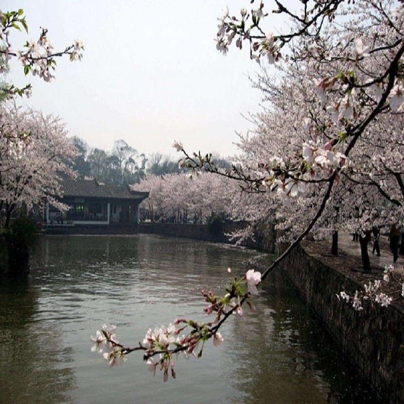 南京出发高铁返程(纯玩)扬州+苏州+无锡3天2晚 景点大门票全含