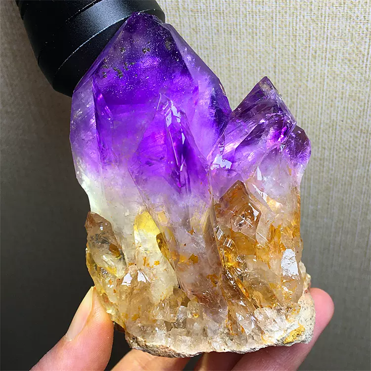 創作人形・吸血鬼の標本（紫水晶） 創作人形・吸血鬼の標本（紫水晶） 留