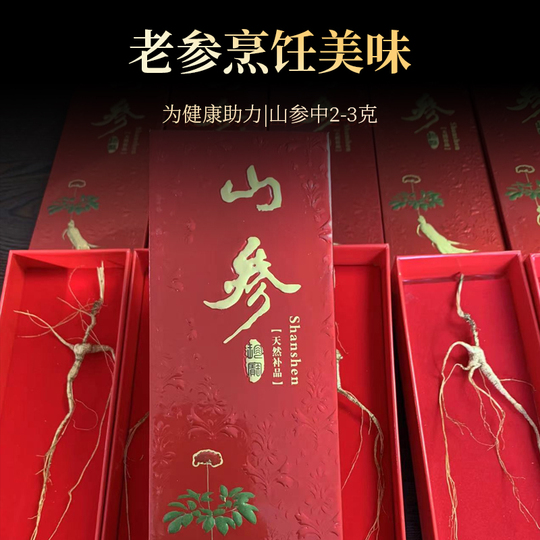 野生長白山高麗人参 - 18年物、一等品、3g