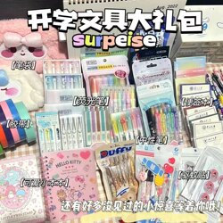 Special Clearance Sale: Back-To-School Stationery Gift Pack, Stationery Gift Box with Retractable Pen, ins High-Quality Items, Perfect for Students to Give as Gifts