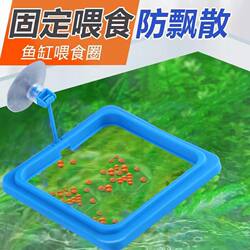 Fish Tank Feeder Anti-Scattering Floating Suspended Feeding Ring Feeder Feeding Ring Fish Food Feeder Fish Feed