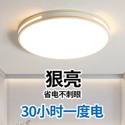 2025 New Led Ceiling Light for Bedroom, Living Room, Main Light, Hall Light, Simple and Elegant Zhongshan Lighting Fixtures