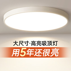Extra-Large Circular Ceiling Light for Living Room, 80cm Diameter, Simple, Modern, Elegant, Led Super Bright Lighting Fixture