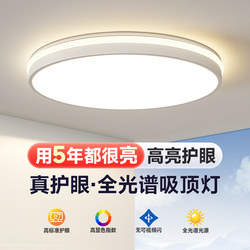 Eye-Protecting Bedroom Lamp, High-Brightness, Elegant Living Room Minimalist Ceiling Lamp, Round Led Room Balcony Simple Modern Lighting Fixture