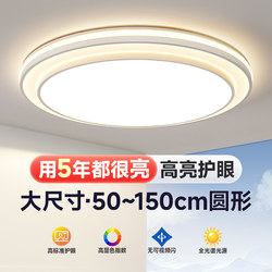 Living Room Main Light, Modern, Simple and Elegant, 2025 New Model Led Ceiling Light, High Brightness, Eye Protection, Round Light, Zhongshan Lighting Fixtures